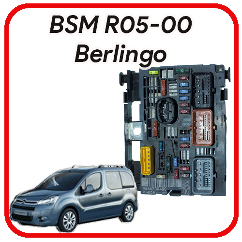 BSM Citroen Berlingo BSM-05-00 9666700480 vendita Scatola servitù inteligente Fusibiliera